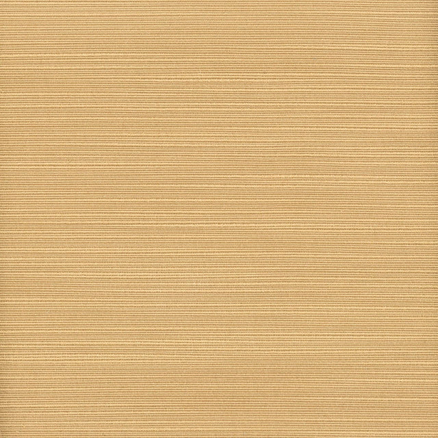 Stout ADMIRE LION Fabric