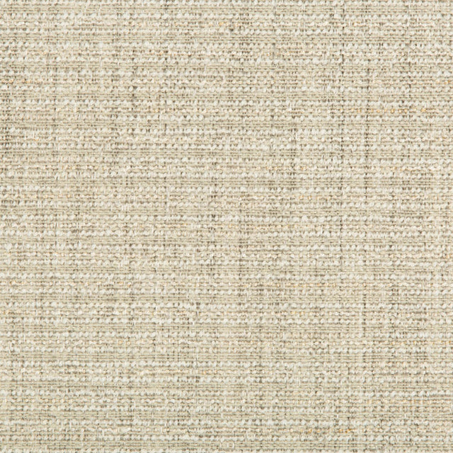 Kravet CONTRACT 35410 1123 Upholstery Fabric
