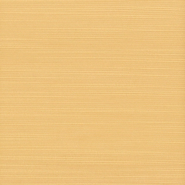Stout ADMIRE BUTTERSCOTCH Fabric