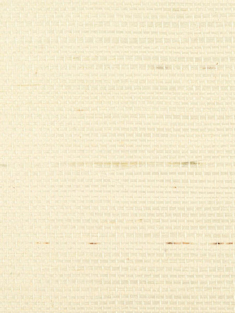 Scalamandre Simply Sisal Snow Wallpaper
