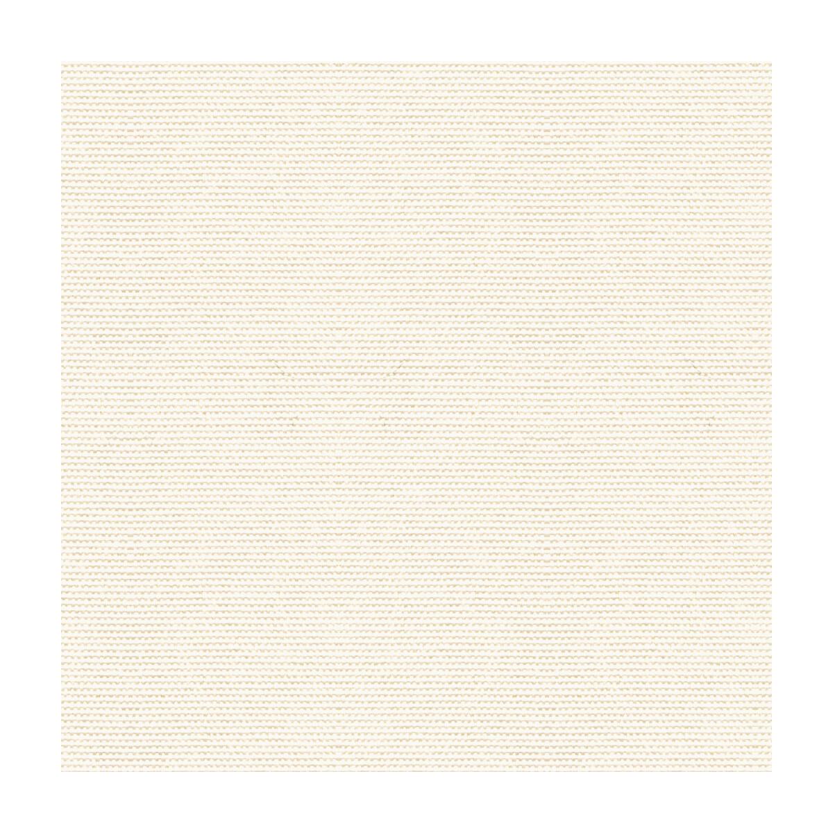 Kravet Cover Salt Fabric