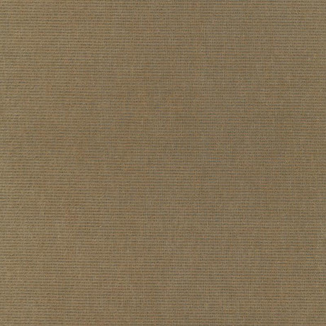 Schumacher Chiaroscuro Velvet Mink Fabric