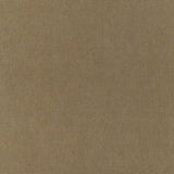 Schumacher Chiaroscuro Velvet Mink Fabric