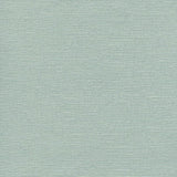 Schumacher Delacroix Silk Ottoman Aquamarine Fabric