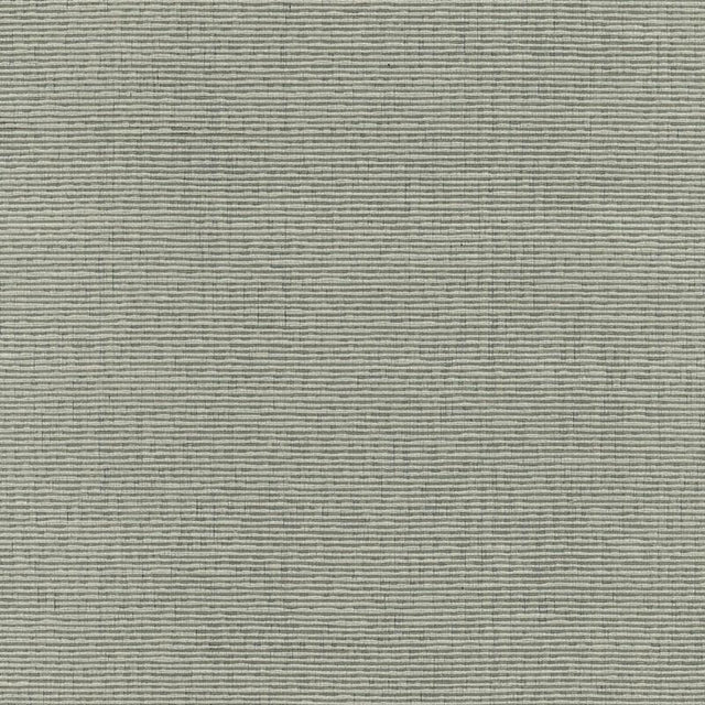 Schumacher Delacroix Silk Ottoman Nickel Fabric