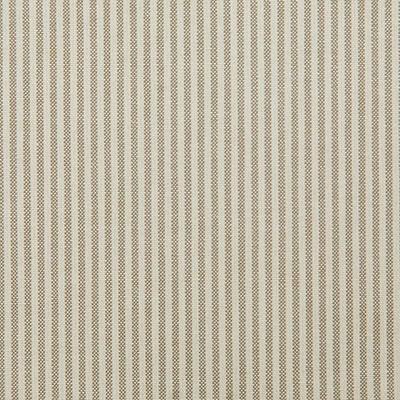 Pindler BENTLEY BIRCH Fabric