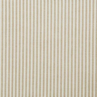Pindler BENTLEY FAWN Fabric