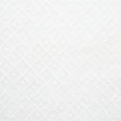 Schumacher Isabella Sheer Embroidery Ivory Fabric