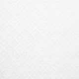 Schumacher Isabella Sheer Embroidery Ivory Fabric