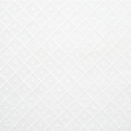 Schumacher Isabella Sheer Embroidery Ivory Fabric