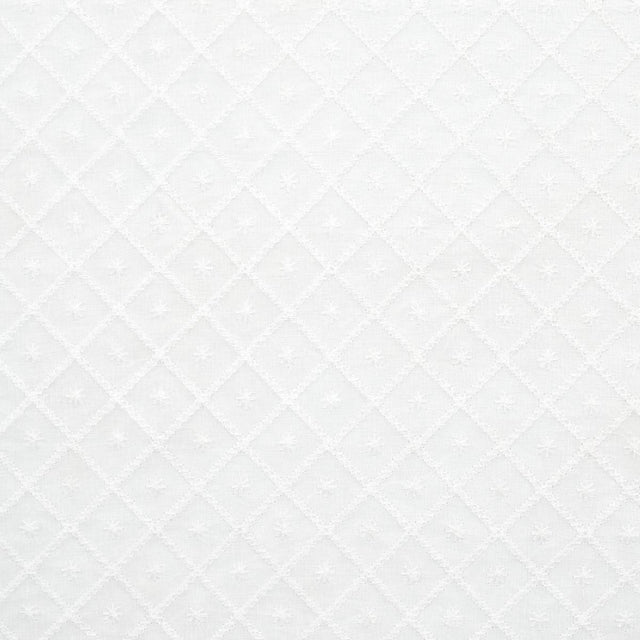 Schumacher Isabella Sheer Embroidery Ivory Fabric