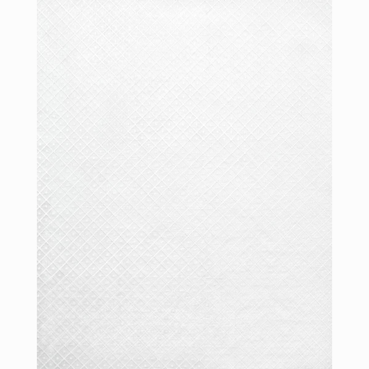 Schumacher Isabella Sheer Embroidery Ivory Fabric