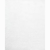 Schumacher Isabella Sheer Embroidery Ivory Fabric