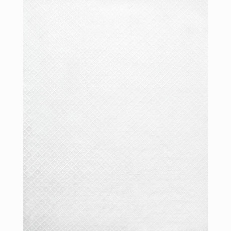 Schumacher Isabella Sheer Embroidery Ivory Fabric