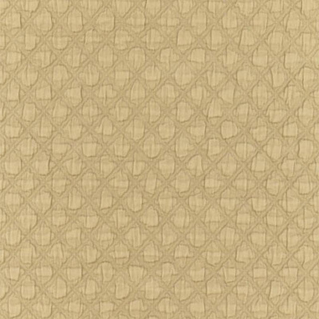 Schumacher Lucca Matelass Antelope Fabric