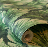 Galerie 26707 Tropical Samoa Green Wallpaper 26707 Green Wallpaper