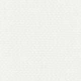 Schumacher Rosabel Dot Sheer White Fabric