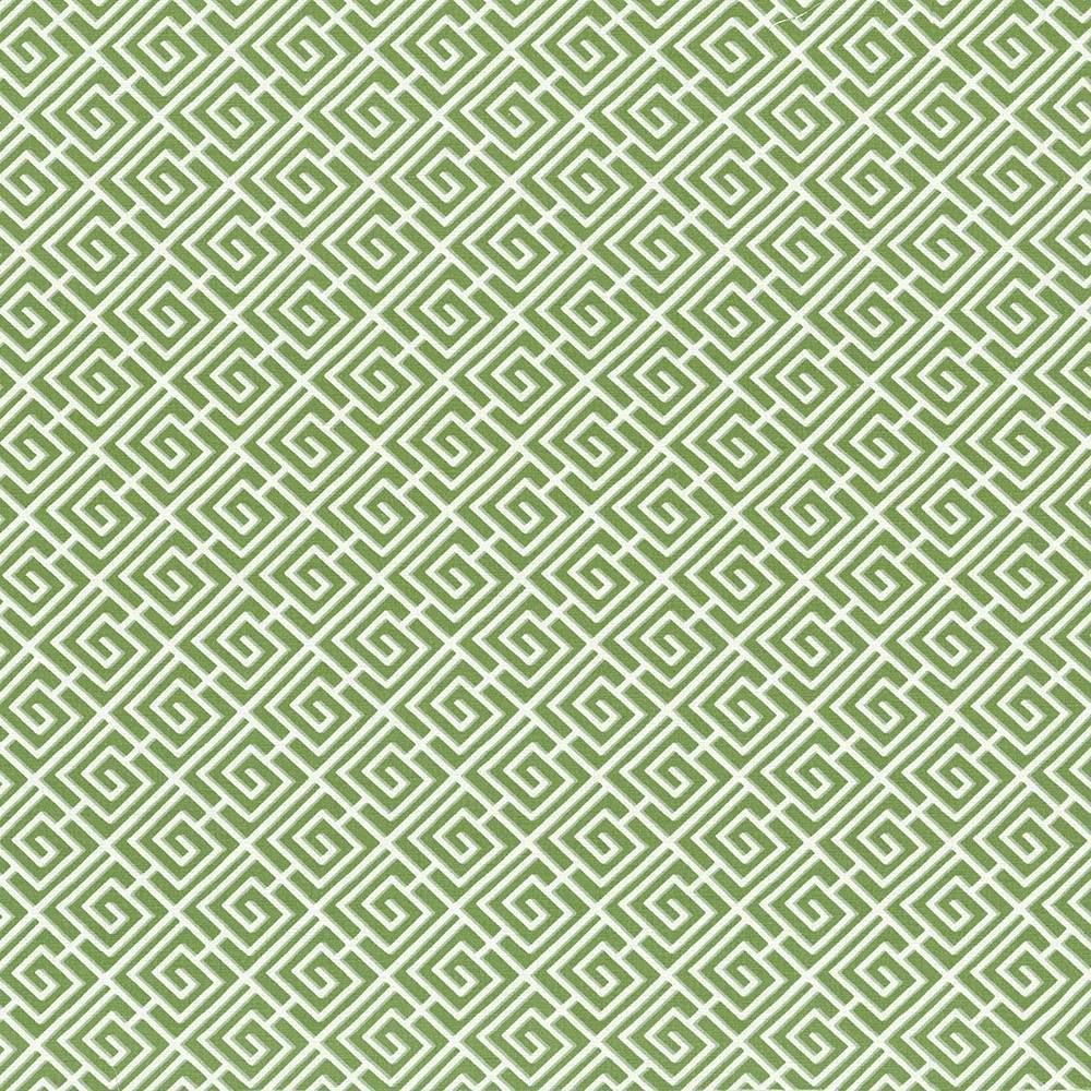 Kasmir Royal Pagoda Kiwi Fabric