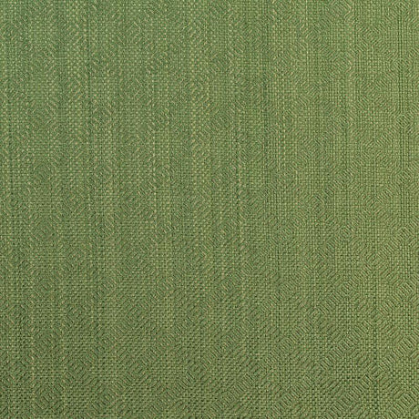 Schumacher Villis Stri Emerald Fabric