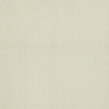 Schumacher Charee Silk Stripe Light Blue & White Fabric