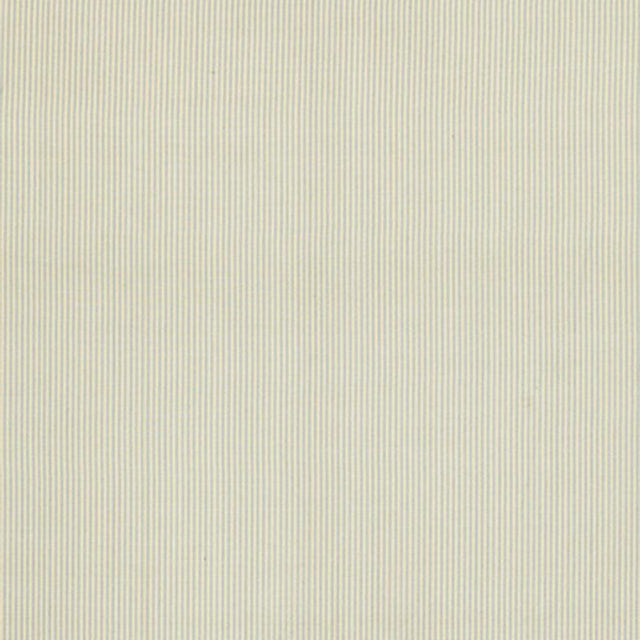 Schumacher Charee Silk Stripe Light Blue & White Fabric