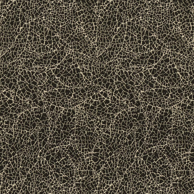 Lee Jofa BREAKWATER BLACK Upholstery Fabric