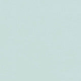 Schumacher Valley Twill Mineral Fabric