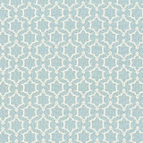Kasmir Ruzzini Opal Fabric