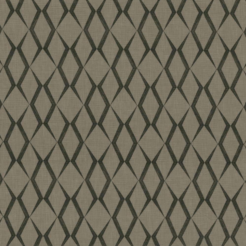 Kasmir Ryland Trellis Thunder Fabric