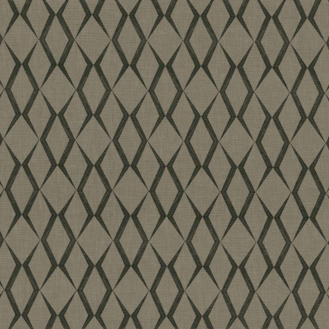 Kasmir Ryland Trellis Thunder Fabric
