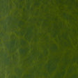 Kravet DAYTRIPPER JUNGLE LOVE Upholstery Fabric