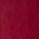 Kravet DAYTRIPPER RUBY Upholstery Fabric