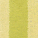 Schumacher Bagan Absinthe Fabric