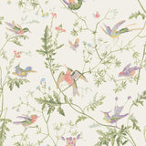 Cole & Son HUMMINGBIRDS SOFT MULTI-COLOUR Wallpaper