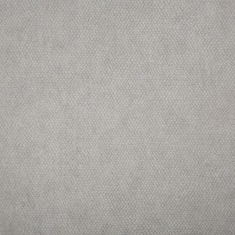 Lizzo CESTO 21541 Wallpaper