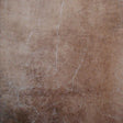 Lizzo SFUMATURA 21518 Wallpaper