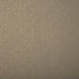 Lizzo TONALITA 21573 Wallpaper