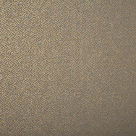 Lizzo TONALITA 21573 Wallpaper