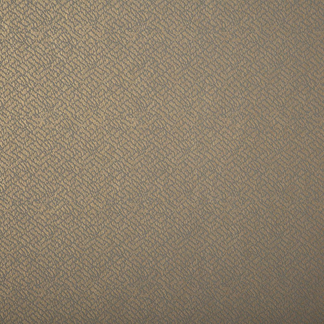 Lizzo TONALITA 21573 Wallpaper