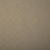 Lizzo TONALITA 21573 Wallpaper