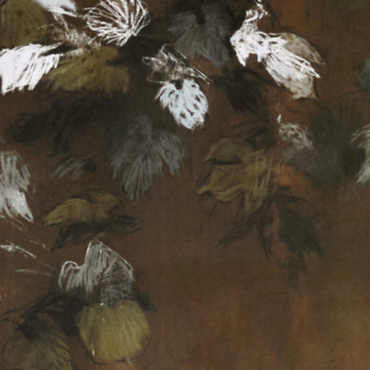 Lizzo FOGLIE DI VITE 21593 Wallpaper