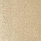 Kravet KERINCI GOLD DUST Upholstery Fabric
