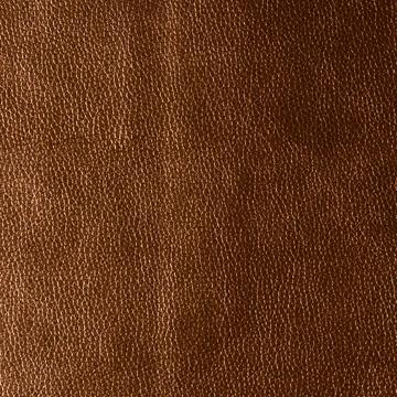 Kravet KERINCI LUCKY PENNY Upholstery Fabric