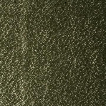 Kravet KERINCI LIMELIGHT Upholstery Fabric