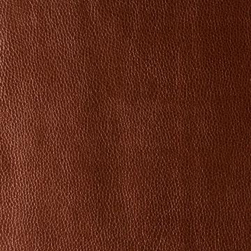 Kravet KERINCI CINNAMON Upholstery Fabric