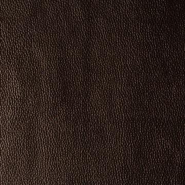 Kravet KERINCI VINTAGE Upholstery Fabric