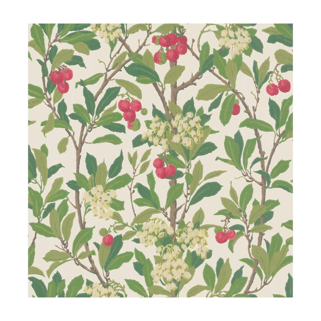 Cole & Son STRAWBERRY TREE SCARLET & IVORY Wallpaper