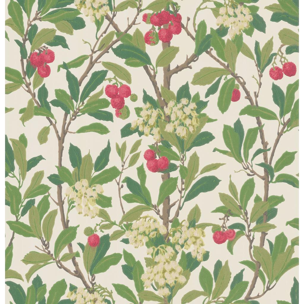 Cole & Son STRAWBERRY TREE SCARLET & IVORY Wallpaper