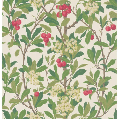 Cole & Son STRAWBERRY TREE SCARLET & IVORY Wallpaper
