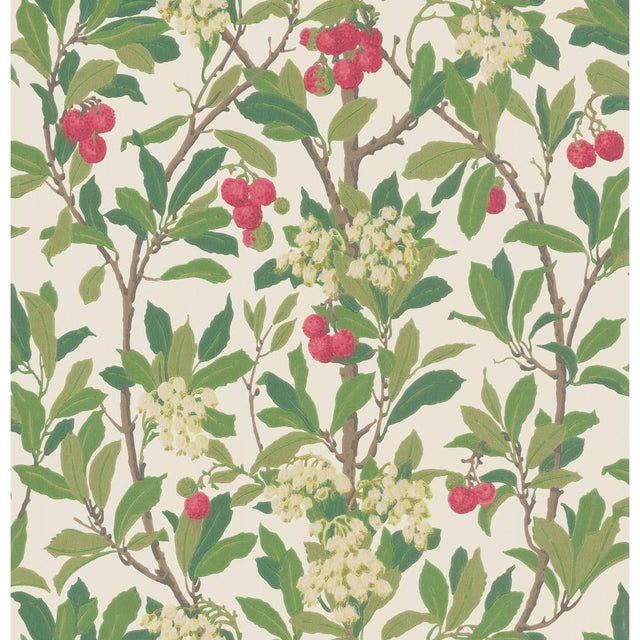Cole & Son STRAWBERRY TREE SCARLET & IVORY Wallpaper